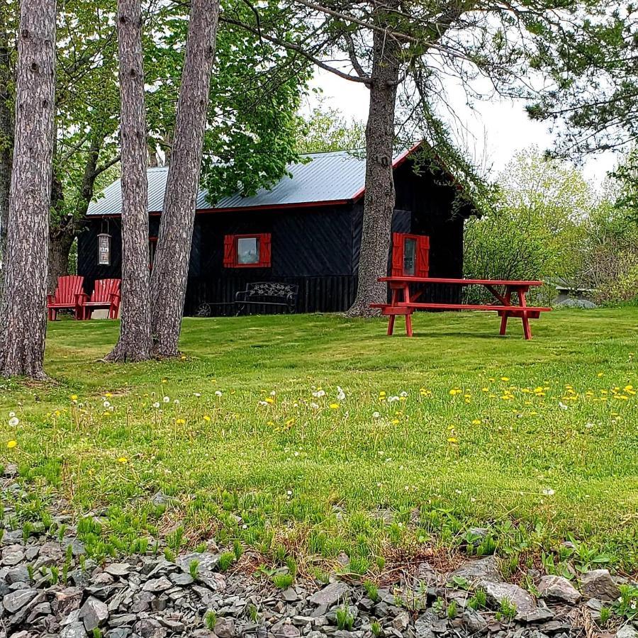 Guest house Evergreen 4*